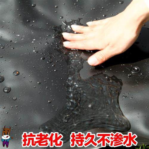 极速新品塑料膜加厚n养殖膜鱼塘膜鱼池C防水布藕池防渗膜.土工膜