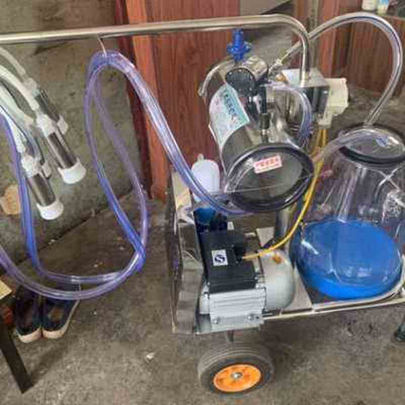 极速奶牛奶羊脉冲挤奶机真空泵单桶脉动吸奶器真空挤奶器.吸奶器.