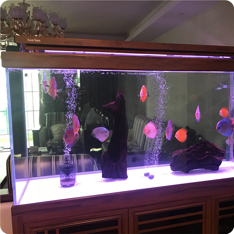 极速上海上门g清洗维护鱼缸鱼池服务保养设备安装搬家造景检修长