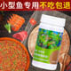 新品 鱼食小颗粒鱼粮小金s鱼锦鲤孔雀鹦鹉兰寿罗汉斗鱼热带鱼观赏