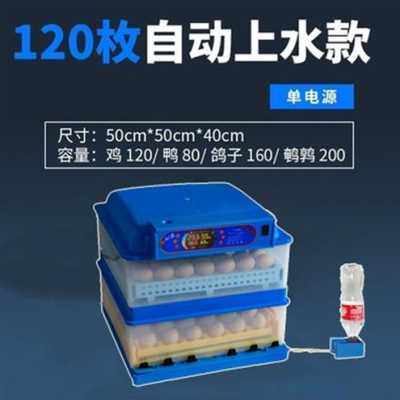 极速新品鸡蛋孵蛋器自动鸟鸡p孵化机迷z智你能孵S化机小型家用禽