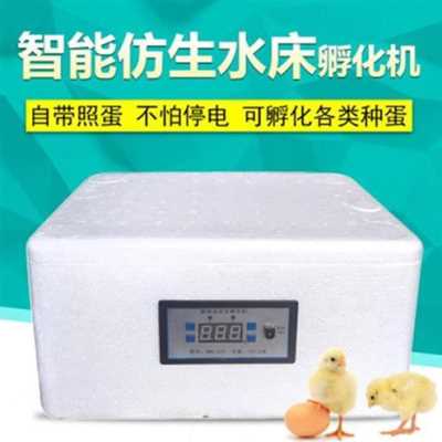 极速爆品迷你小型家用水床孵化器全套E送种蛋1J0枚可孵化小鸡学生