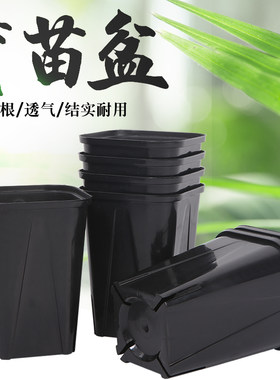 透气好不烂根8公分口径小黑花盆