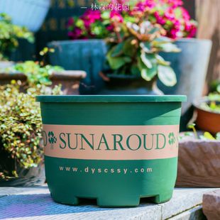 矮胖加仑盆加厚加仑盆二代加厚月季绿萝花盆特大号种树林森的花园