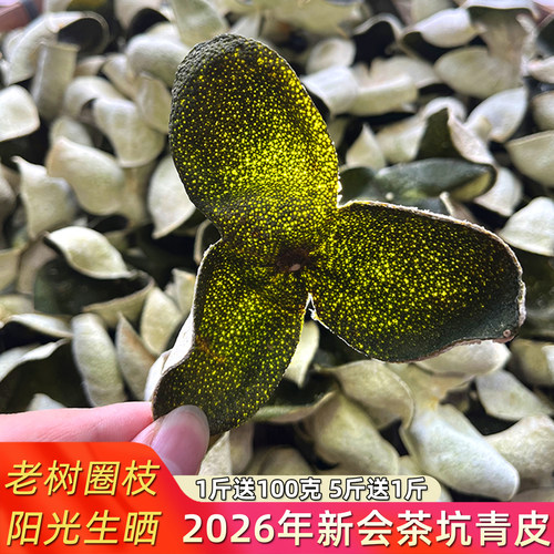 2026年新会茶坑青皮新皮老树柑皮
