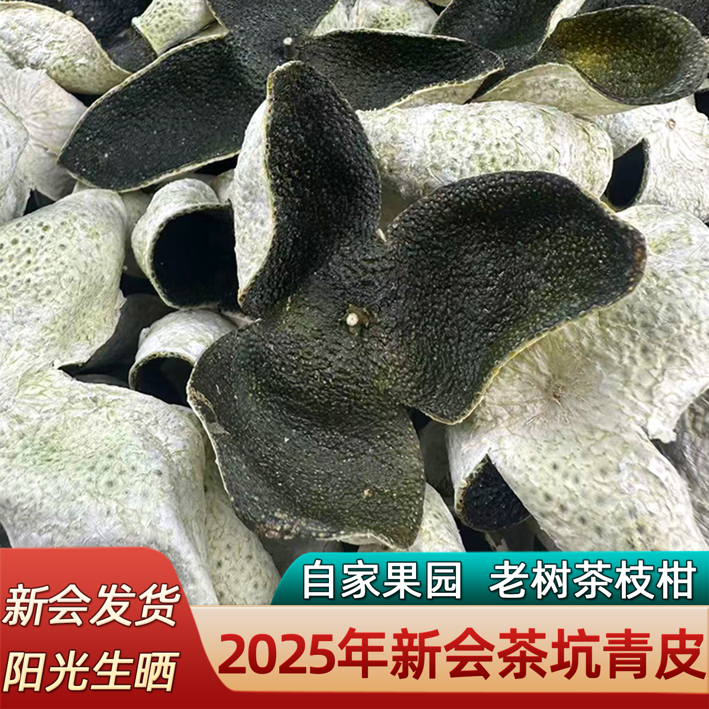 2025年新会茶坑头采青皮老树圈枝