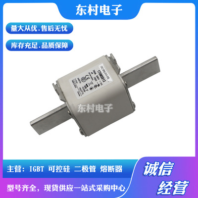 熔断器170M5952 170M5953 170M5954 170M5955 170M5956 全新现货