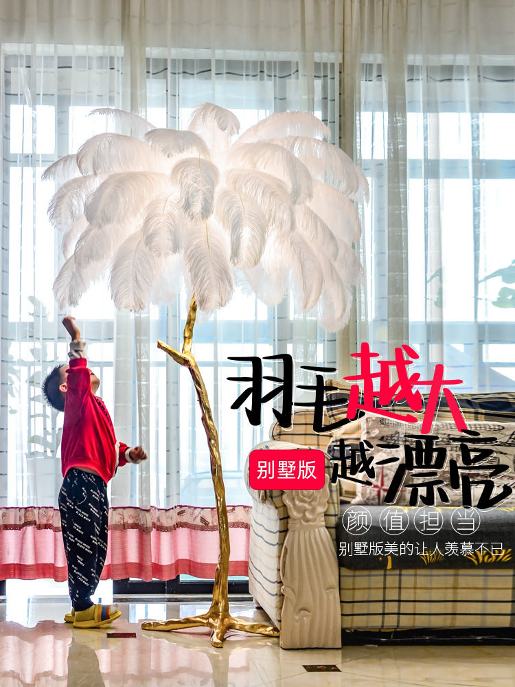 羽毛落地灯客厅沙发旁转角设计感摆件艺术法式创意卧室鸵鸟羽毛灯