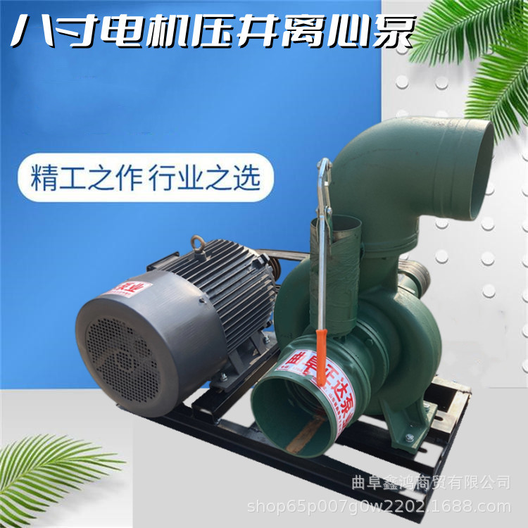 全铜电机带大8寸离心泵 用电方便可选择 水利工程建设排水抽水泵
