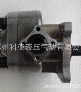 台湾锐力齿轮泵RGP-F319RN-K4 RGP-F125R RGP-F130R RGP-F140R