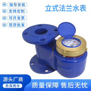 宁波水表竖装下进上出3寸dn80dn100自来水铜罩冷水表立式法兰水表