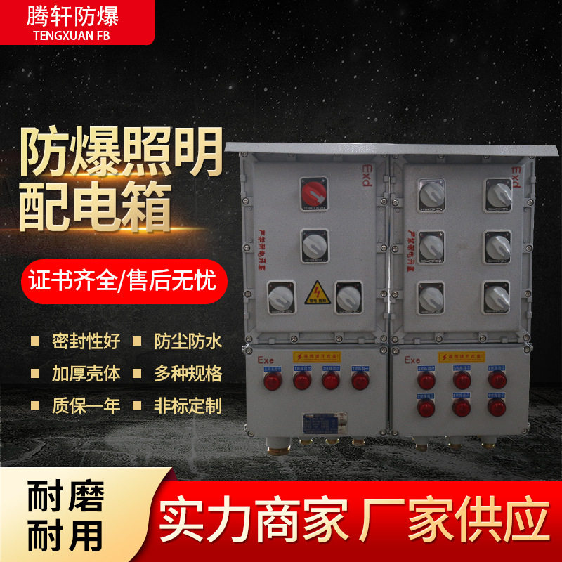 防爆照明动力配电控制接线箱