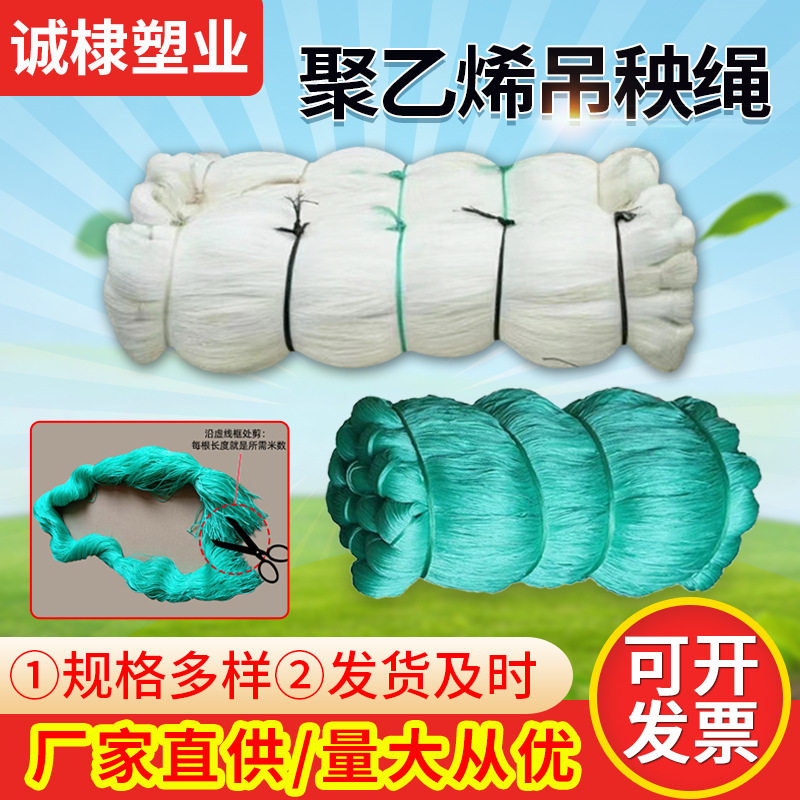 吊秧绳大棚蔬菜吊蔓绑秧绳聚乙烯尼龙吊秧线辣椒专用绳子抗UV