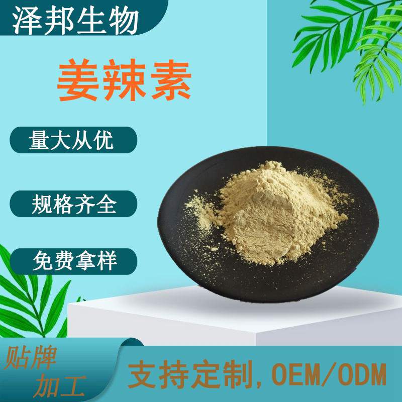 姜辣素10% 姜辣粉 生姜素多规格现货包邮 泽邦供应