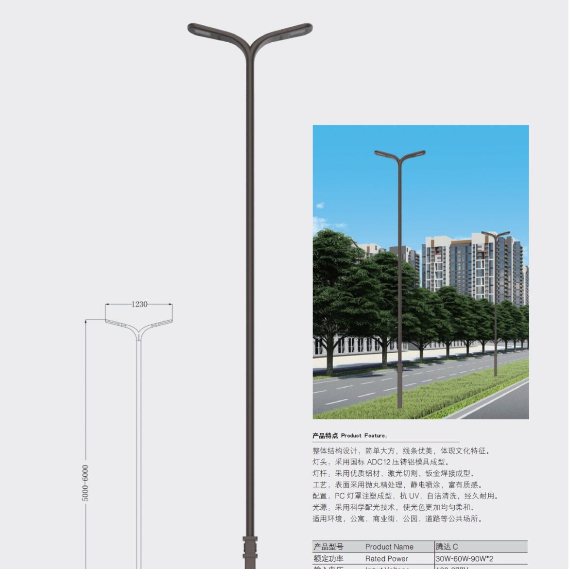 皇广景观路灯带安装厂家直供