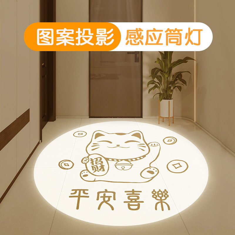 玄关走廊感应欢迎回家射灯