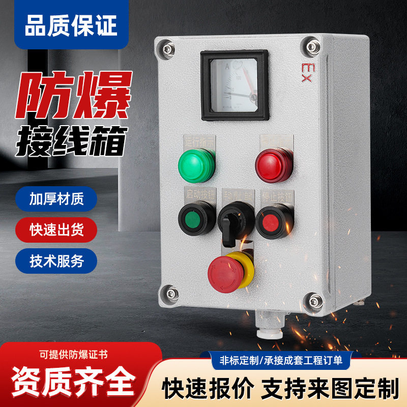防爆仪表开关箱IIBIIC启动停止防爆箱急停操作仪表箱按钮