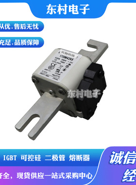 熔断器170M5388 170M5389 170M5390 170M5391/5392/5393全新现货