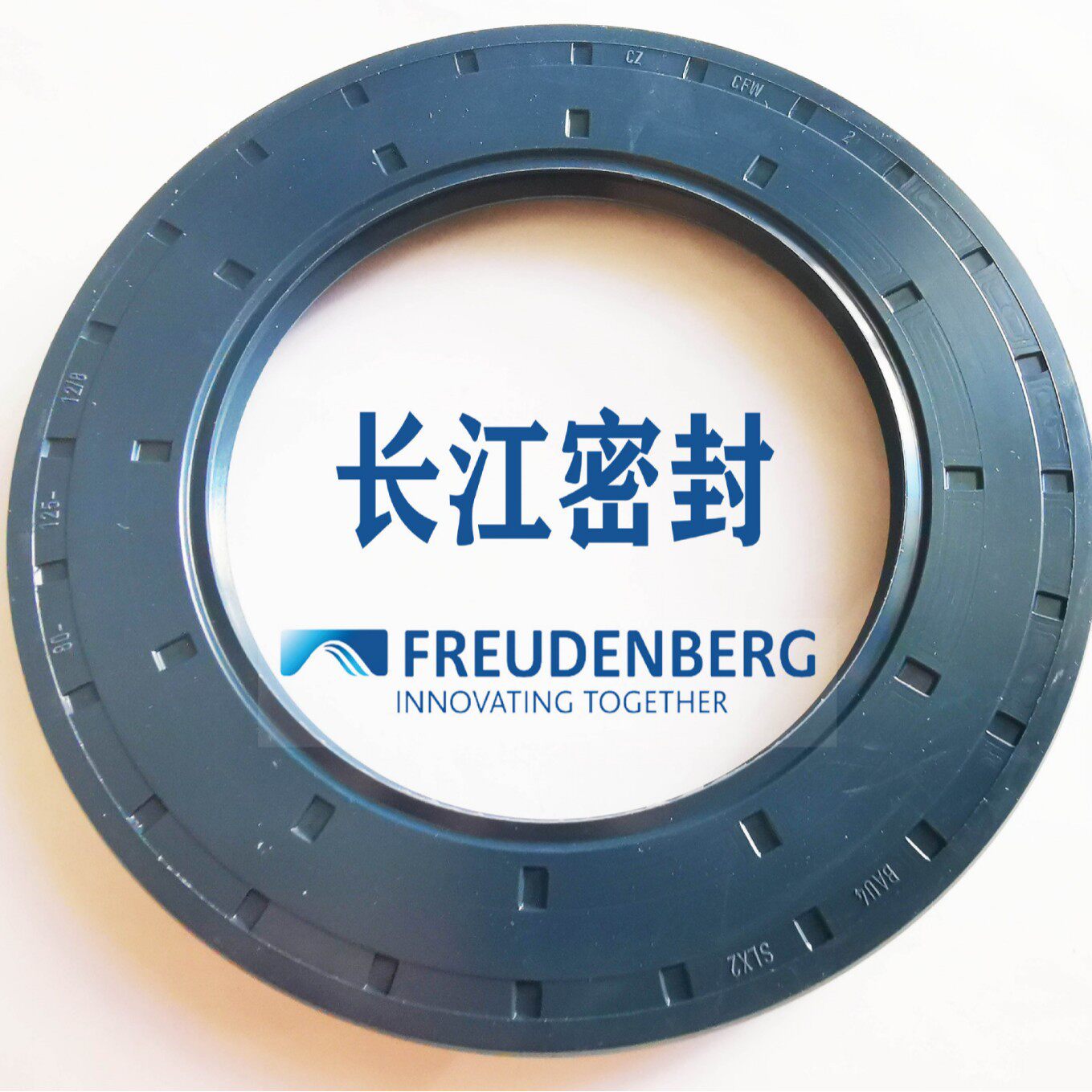 ACFW2BAU4SLX252-72-8德国进口骨架油封双唇口密封圈