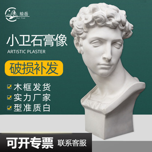 厂家供应小卫头像石膏教具美帝奇石膏像模具素描静物写生美术器材