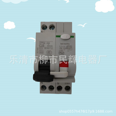 施型空气开关带漏电1P单片双进双出DPNa 新款IPNa6A-63A 断路器