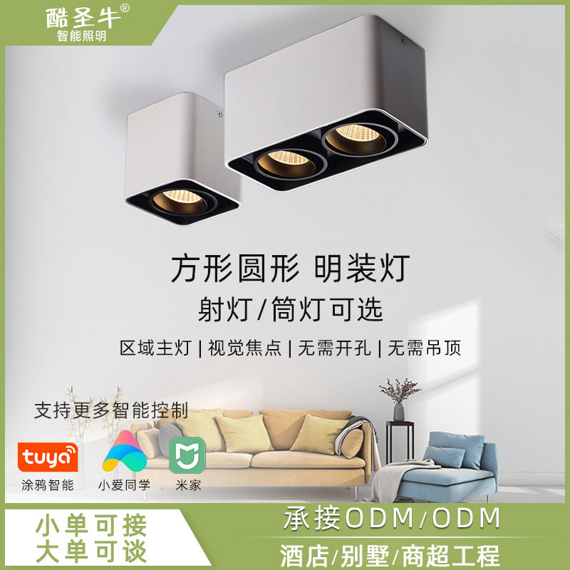 方形明装筒灯 COB斗胆格栅灯天花灯商用无主灯智能单双头射灯