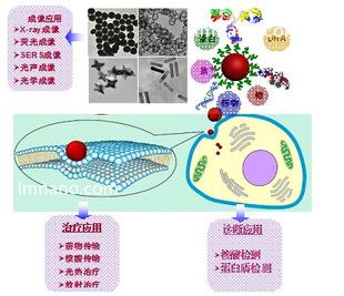 80nm 油溶性球形金纳米颗粒