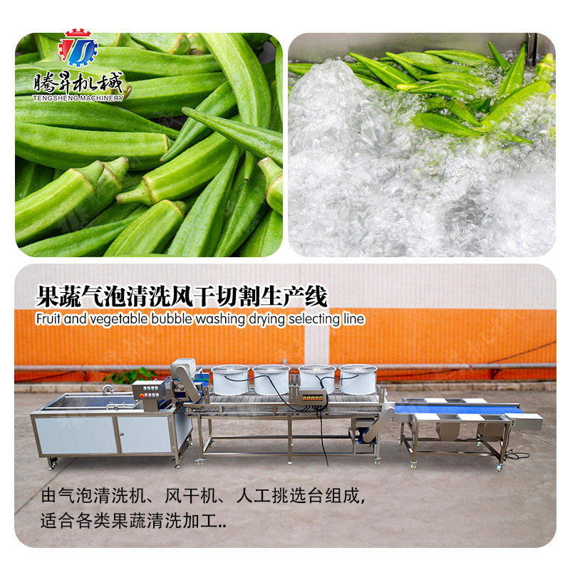 果蔬气泡清洗风干挑选生产线 挑选台 风干机 气泡清洗机