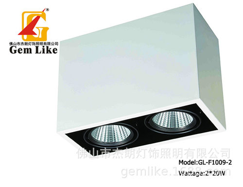 led led灯 led天花灯  led洗墙灯 led明装GL-F1009-2