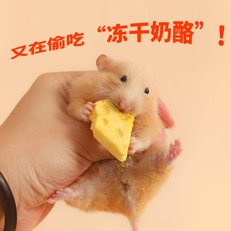 速发小仓鼠零食冻干奶酪磨牙饼花枝金丝熊粮料增食营养补钙饲肥用