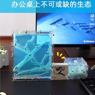 速发器蚂蚁神养堡蚂蚁家园蚂蚁城 超大巢穴大号生态箱蚂蚁窝城堡
