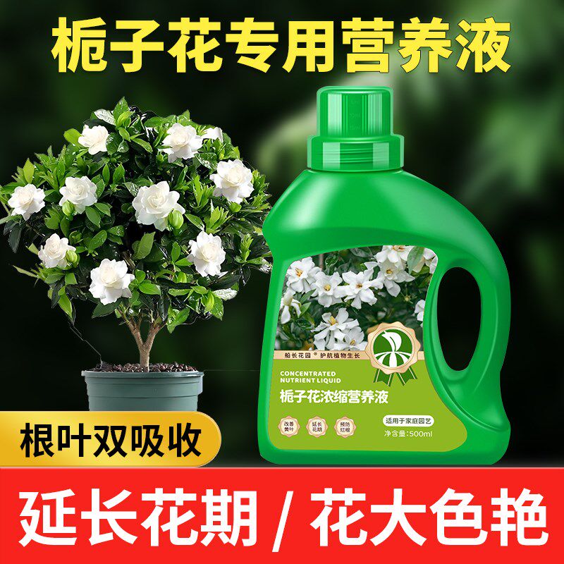 速发栀子艺浓缩营养液专用家庭园花盆栽花卉量物营养微植元素水溶