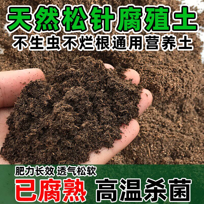 速发松针种炭土营养土君子兰泥叶腐熟发酵养花腐菜通用