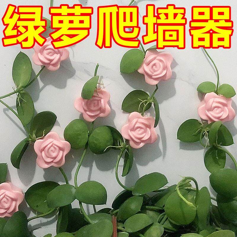 速发绿萝爬墙器大绿萝长藤款爬藤植物爬墙固定器挂钩绿萝藤蔓夹扣
