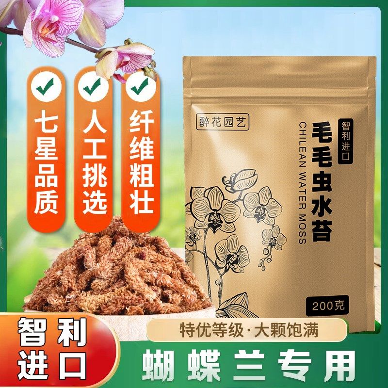 速发智利毛毛虫水苔蝴蝶兰兰花专苔营养土保料保湿植水干用藓养花