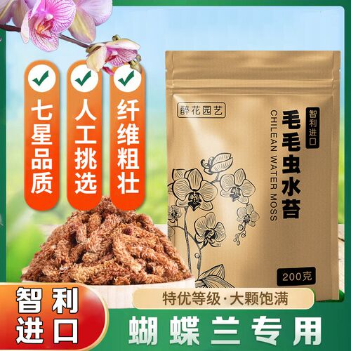 速发智利毛毛虫水苔蝴蝶兰兰花专苔营养土保料保湿植水干用藓养花
