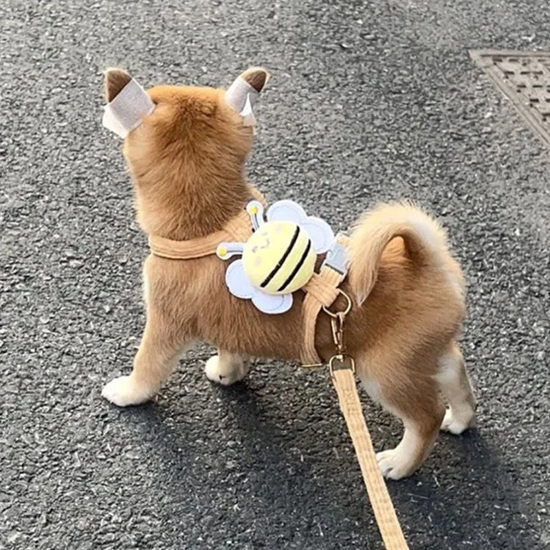 速发猫咪中小幼型犬柴犬比熊遛狗绳防挣狗泰迪胸背带脱链子