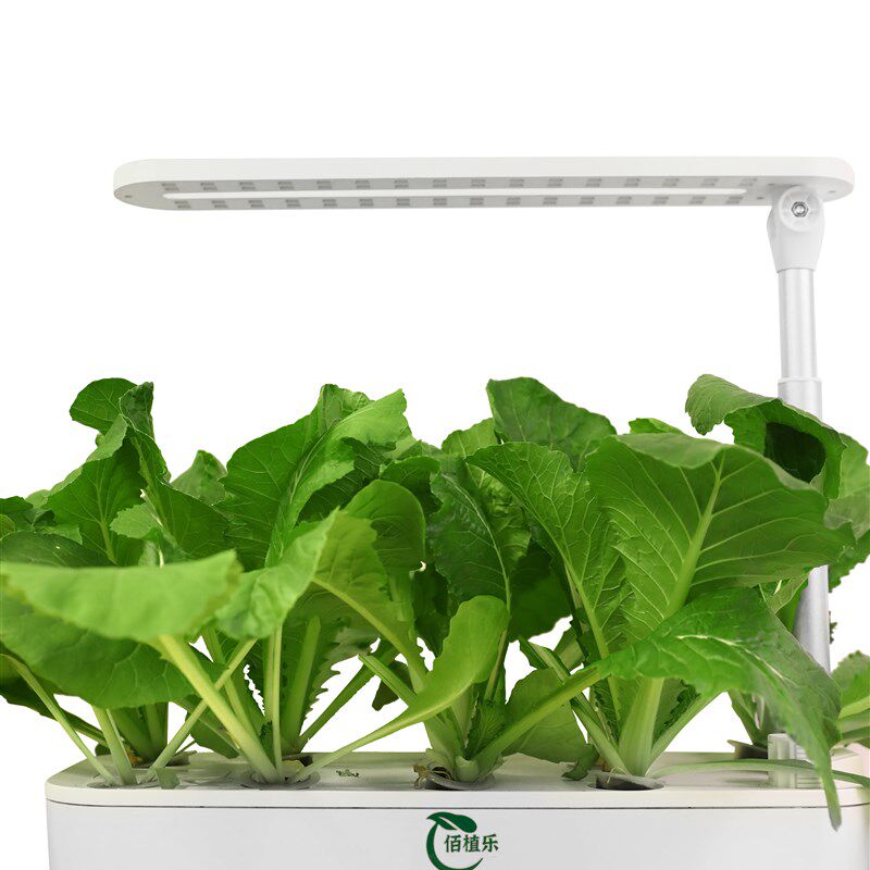 现货速发佰植乐室内无土种植机教师盆栽植物蔬菜水培菜篮种菜机补