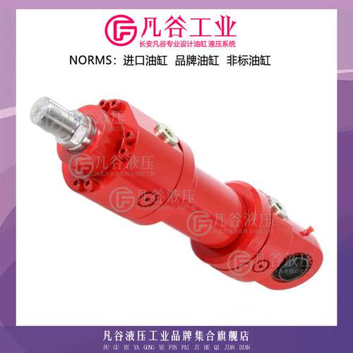现货HYDOR双动液压缸HD6510PK63/36-215-a+b-1R00-8132伺服油缸