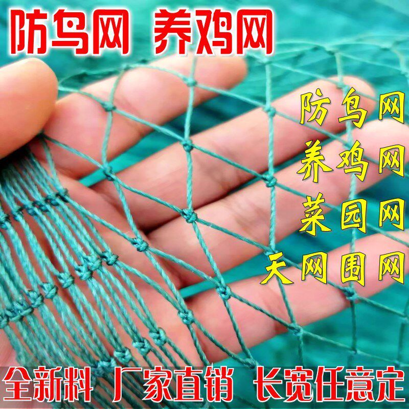 速发网防家鸡网养禽养殖网护栏网米围尼龙网菜园拦鸡网鸡网山鸡