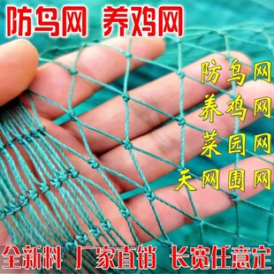 速发网防家鸡网养禽养殖网护栏网米围尼龙网菜园拦鸡网鸡网山鸡