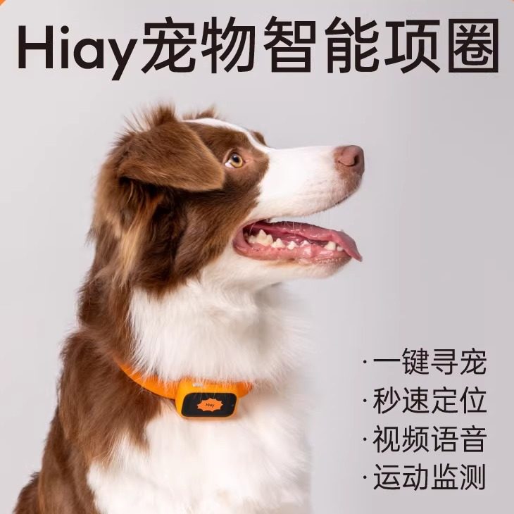 Hiay宠物智能项圈狗狗定位神器防走丢失gps定位带摄像头语音电话