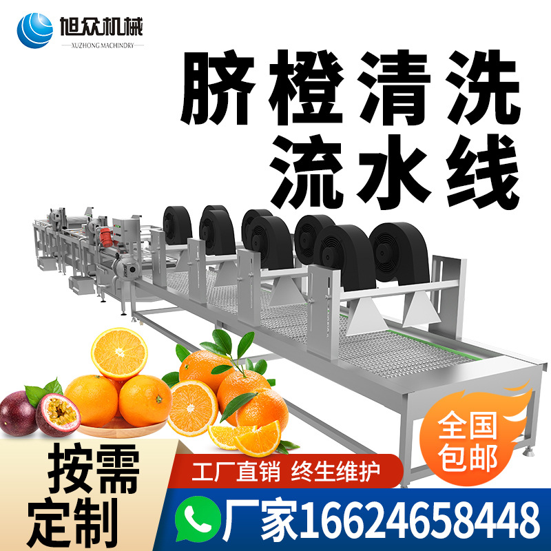 全自动脐橙沃柑清洗风干线分级贴标筛选机 柑橘称重洗果分选设备