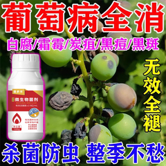 葡萄树专用药病全治黄叶黑斑病保花促果专用肥料菌立清杀菌剂杀虫