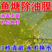 鱼塘除油膜池塘改底解毒改善水质净化剂清除铁锈去碱藻消毒杀菌药