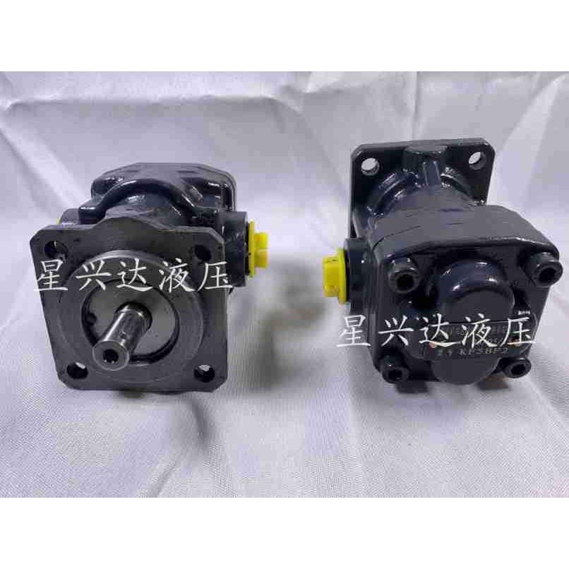 kracht齿轮泵KF2.5/4//5/6/8/10/12/16/20//25/32/40LG1/RF1-D15