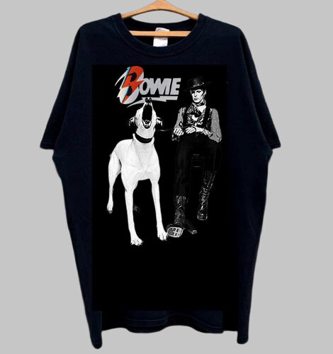 David Bowie ashes to ashes t恤shirt ziggy stardust 大卫宝儿