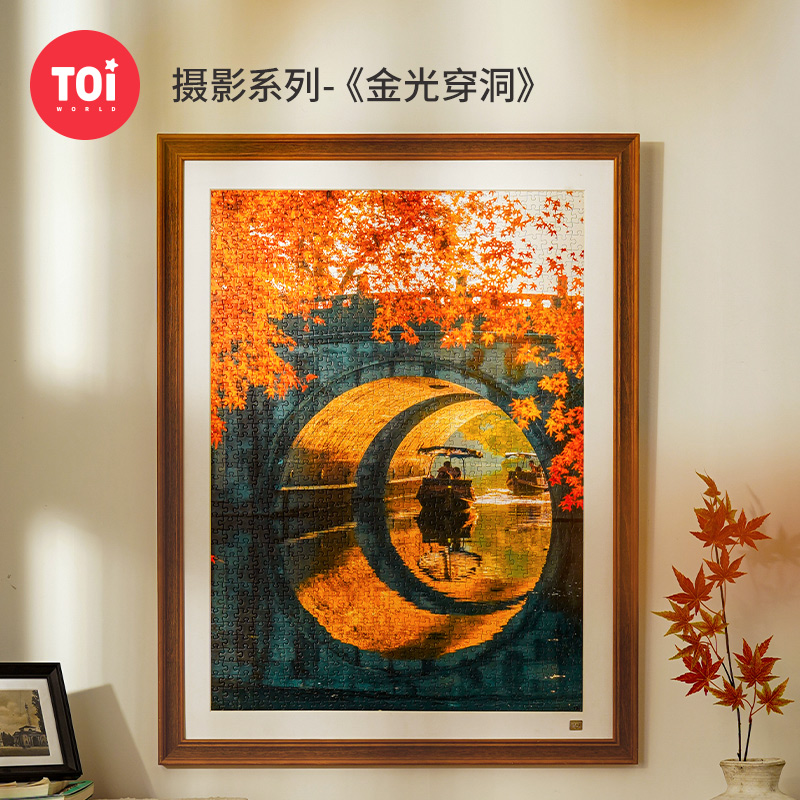 TOI图益拼图成人版1000片