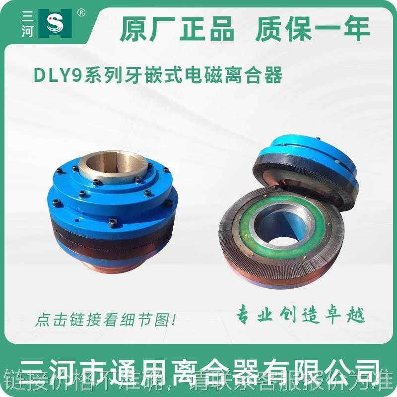 大扭力牙嵌式电磁离合器DLY9-100三河离合器机床电器 DC110V