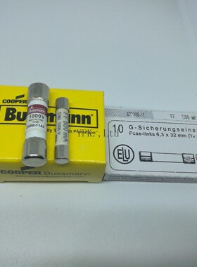 极速1pair=DMgM-11AR + SIBA FF500MA  1000VAC/DC FUSE FOR FLUK